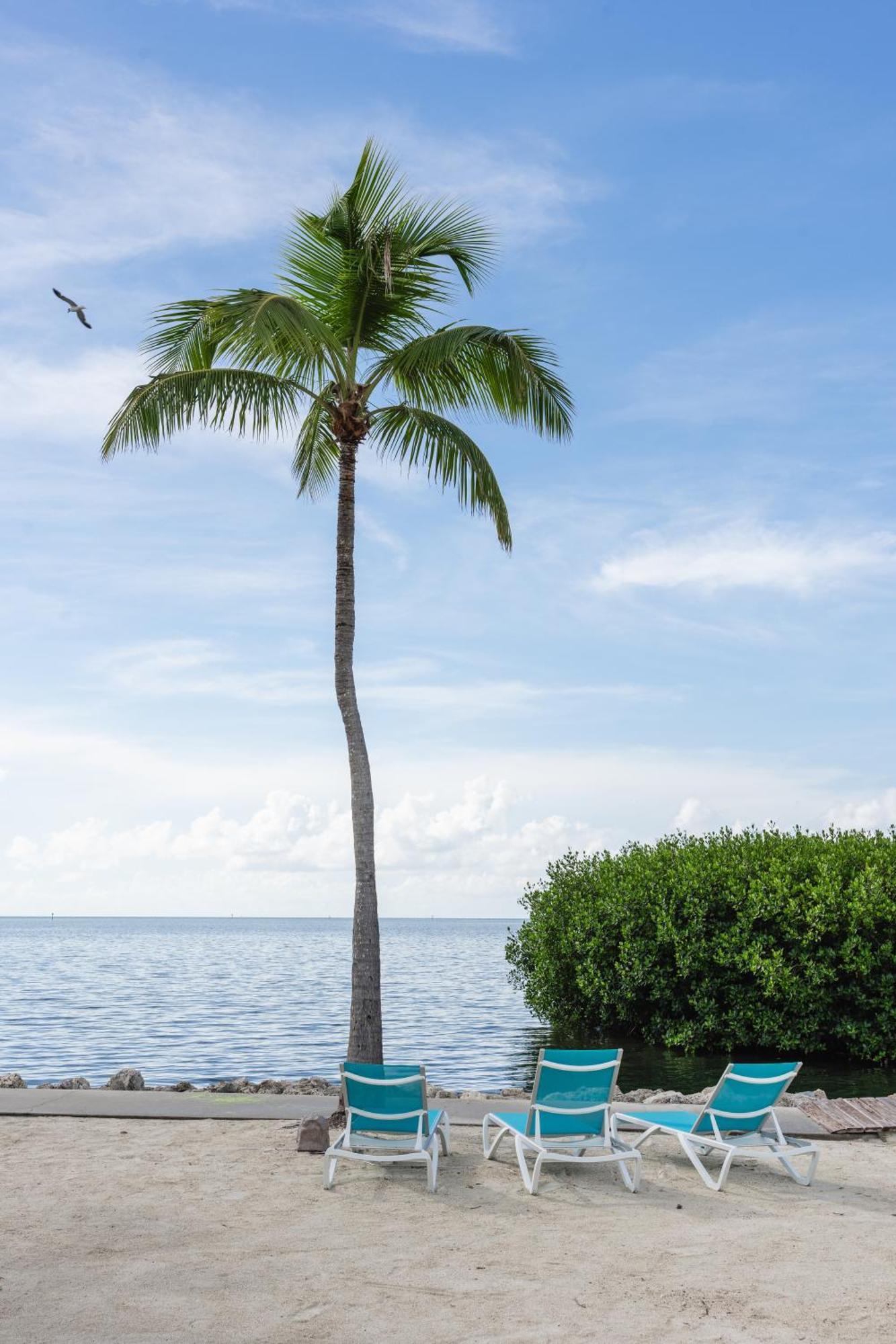 Fisher Inn Resort & Marina Islamorada Exterior photo